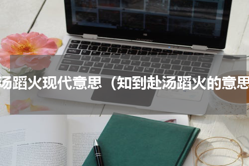 赴汤蹈火现代意思（知到赴汤蹈火的意思）