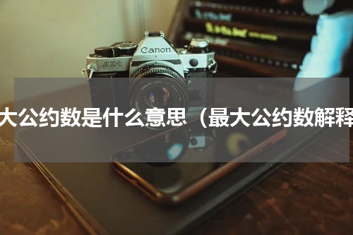 最大公约数是什么意思（最大公约数解释）