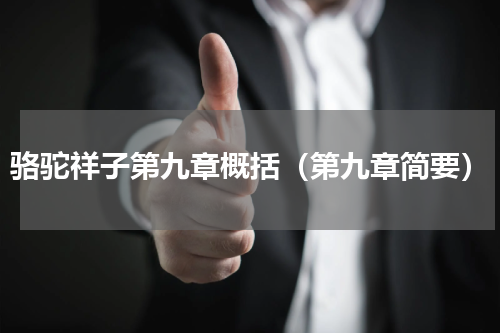 骆驼祥子第九章概括（第九章简要）