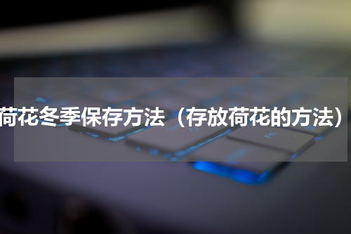 荷花冬季保存方法（存放荷花的方法）