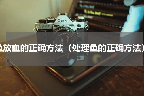 鱼放血的正确方法（处理鱼的正确方法）