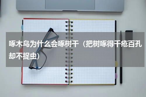 啄木鸟为什么会啄树干（把树啄得千疮百孔却不捉虫）