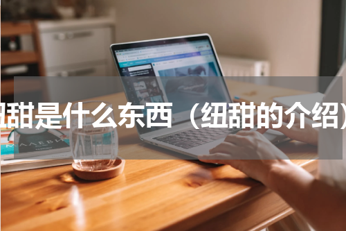 纽甜是什么东西（纽甜的介绍）