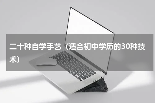 二十种自学手艺（适合初中学历的30种技术）