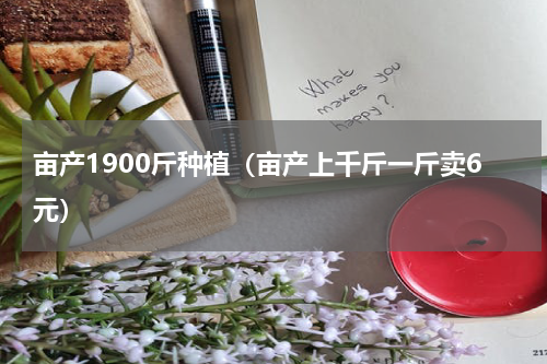 亩产1900斤种植（亩产上千斤一斤卖6元）