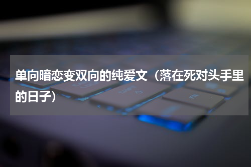 单向暗恋变双向的纯爱文（落在死对头手里的日子）