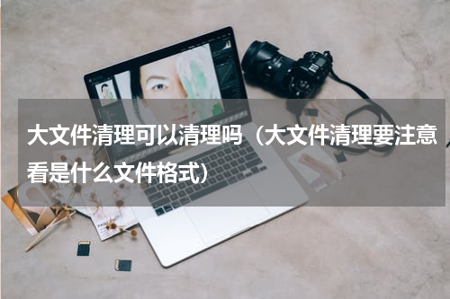 大文件清理可以清理吗（大文件清理要注意看是什么文件格式）