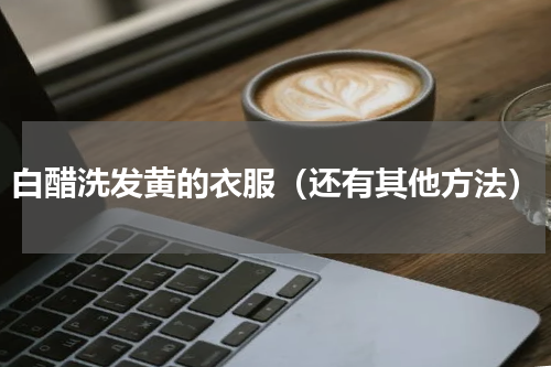 白醋洗发黄的衣服（还有其他方法）