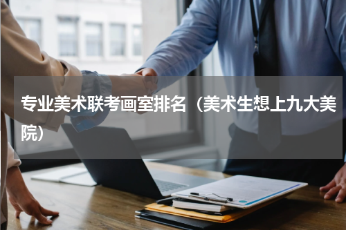 专业美术联考画室排名（美术生想上九大美院）