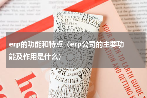 erp的功能和特点（erp公司的主要功能及作用是什么）