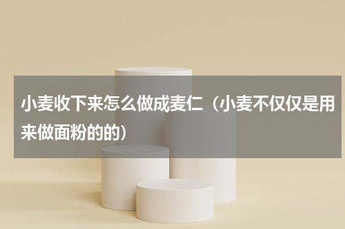 小麦收下来怎么做成麦仁（小麦不仅仅是用来做面粉的的）