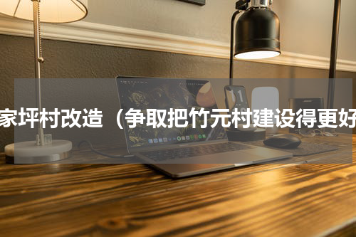 范家坪村改造（争取把竹元村建设得更好）