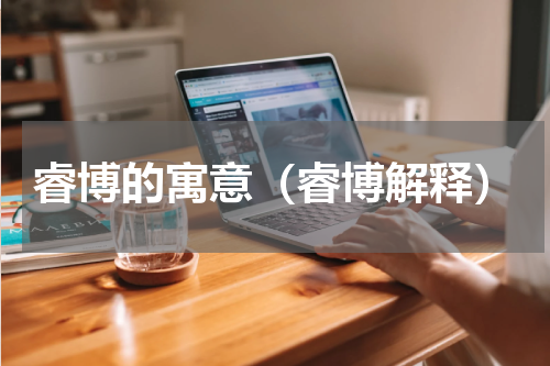 睿博的寓意（睿博解释）