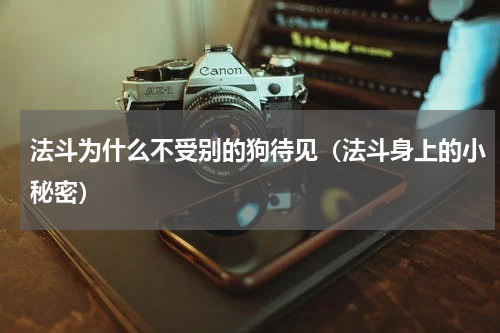 法斗为什么不受别的狗待见（法斗身上的小秘密）