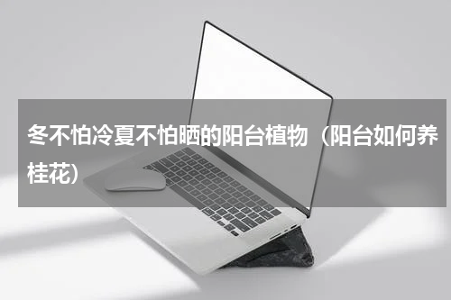 冬不怕冷夏不怕晒的阳台植物（阳台如何养桂花）