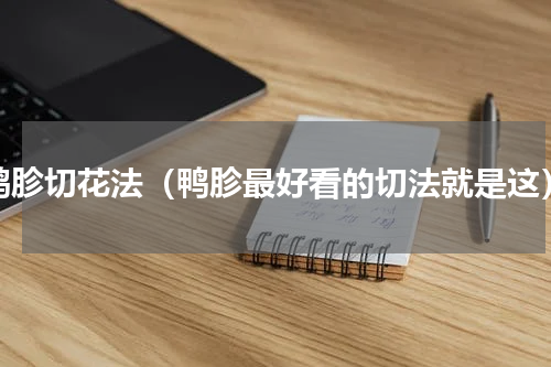 鸭胗切花法（鸭胗最好看的切法就是这）