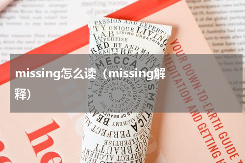missing怎么读（missing解释）