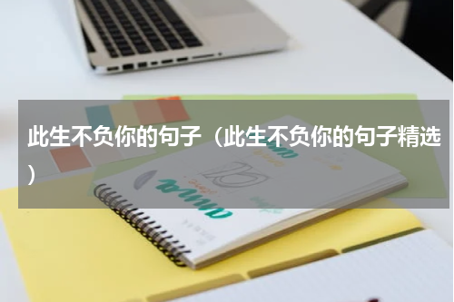 此生不负你的句子（此生不负你的句子精选）