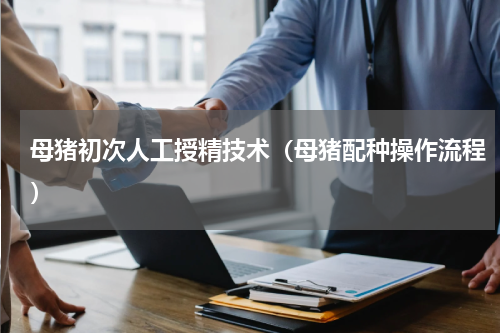 母猪初次人工授精技术（母猪配种操作流程）