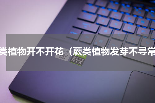 蕨类植物开不开花（蕨类植物发芽不寻常）