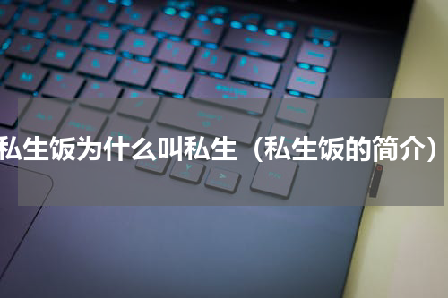 私生饭为什么叫私生（私生饭的简介）