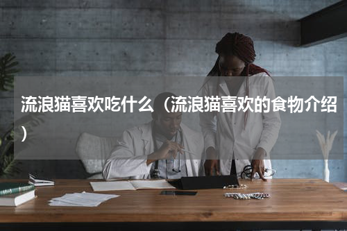 流浪猫喜欢吃什么（流浪猫喜欢的食物介绍）