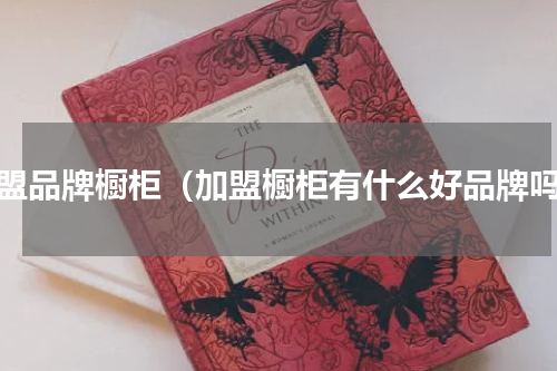 加盟品牌橱柜（加盟橱柜有什么好品牌吗）