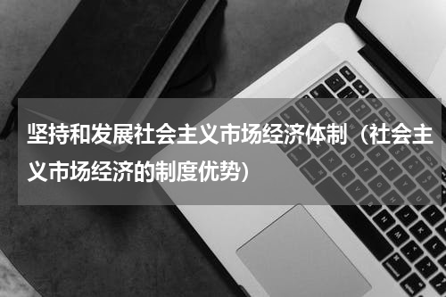 坚持和发展社会主义市场经济体制（社会主义市场经济的制度优势）