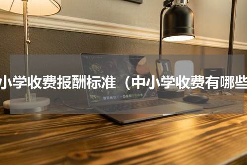 中小学收费报酬标准（中小学收费有哪些）