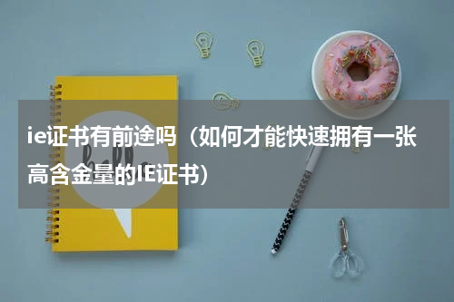 ie证书有前途吗（如何才能快速拥有一张高含金量的IE证书）