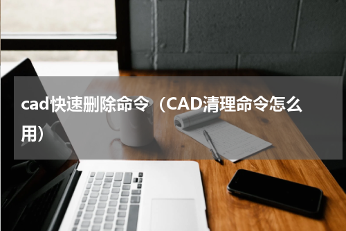cad快速删除命令（CAD清理命令怎么用）