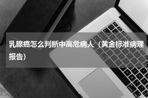 乳腺癌怎么判断中高危病人（黄金标准病理报告）