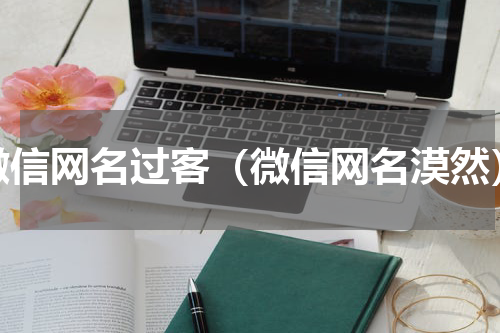 微信网名过客（微信网名漠然）