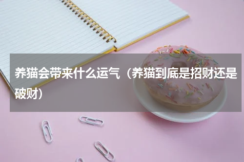 养猫会带来什么运气（养猫到底是招财还是破财）