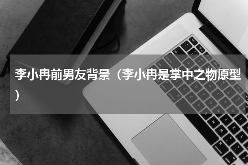 李小冉前男友背景（李小冉是掌中之物原型）