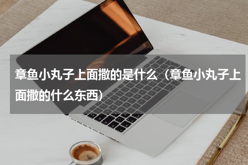 章鱼小丸子上面撒的是什么（章鱼小丸子上面撒的什么东西）