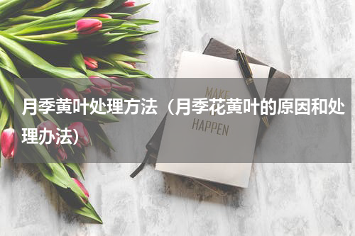 月季黄叶处理方法（月季花黄叶的原因和处理办法）