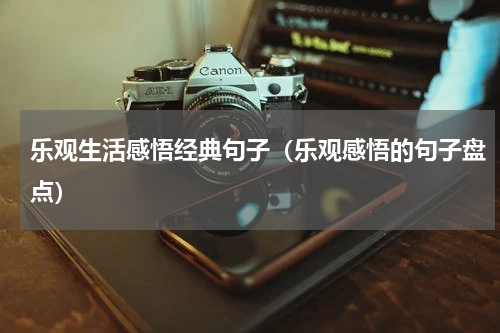 乐观生活感悟经典句子（乐观感悟的句子盘点）