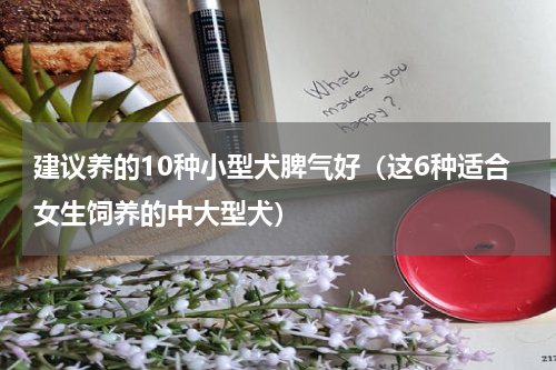 建议养的10种小型犬脾气好（这6种适合女生饲养的中大型犬）