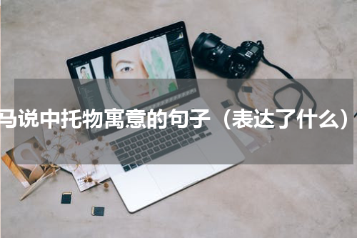 马说中托物寓意的句子（表达了什么）