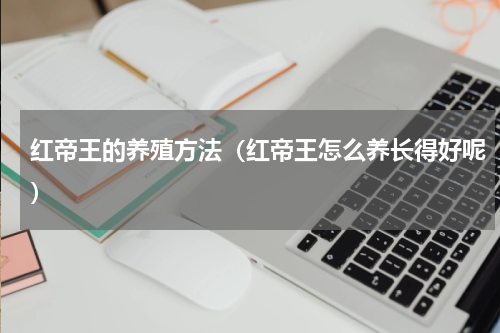 红帝王的养殖方法（红帝王怎么养长得好呢）