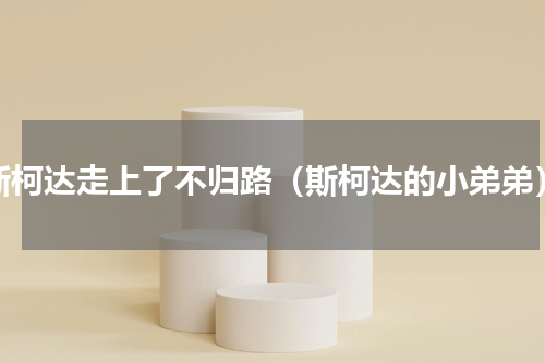 斯柯达走上了不归路（斯柯达的小弟弟）