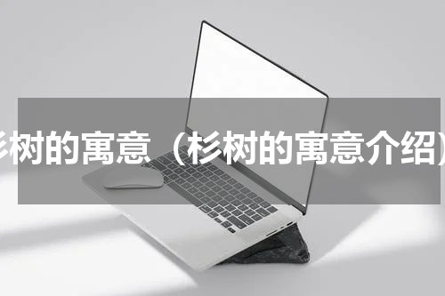 杉树的寓意（杉树的寓意介绍）