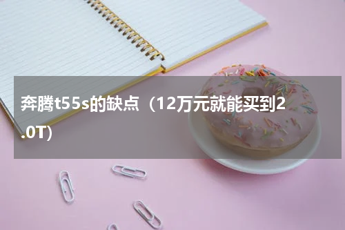 奔腾t55s的缺点（12万元就能买到2.0T）