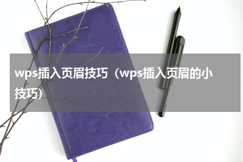 wps插入页眉技巧（wps插入页眉的小技巧）
