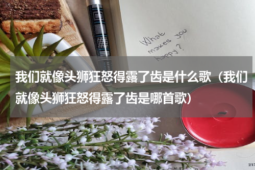 我们就像头狮狂怒得露了齿是什么歌（我们就像头狮狂怒得露了齿是哪首歌）