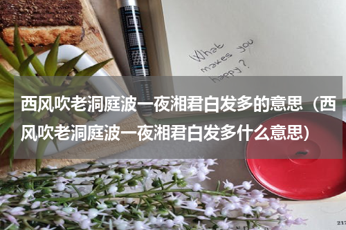 西风吹老洞庭波一夜湘君白发多的意思（西风吹老洞庭波一夜湘君白发多什么意思）