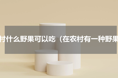 农村什么野果可以吃（在农村有一种野果）