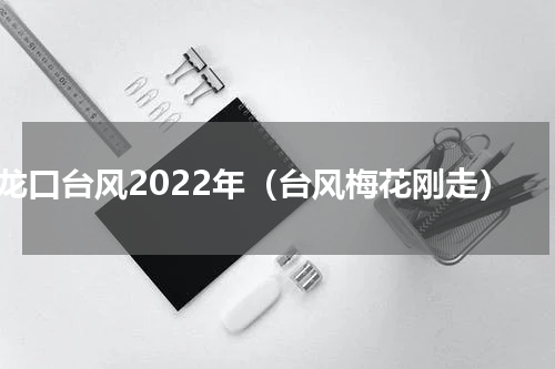 龙口台风2022年（台风梅花刚走）
