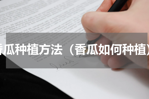 香瓜种植方法（香瓜如何种植）